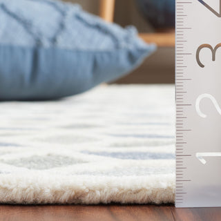 Safavieh Ebony EBN656F Ivory / Grey Area Rug Detail