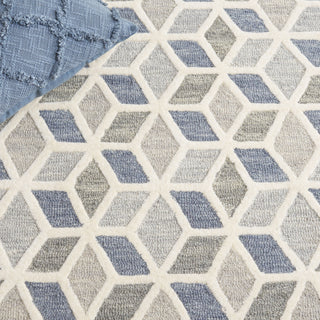 Safavieh Ebony EBN656F Ivory / Grey Area Rug Detail