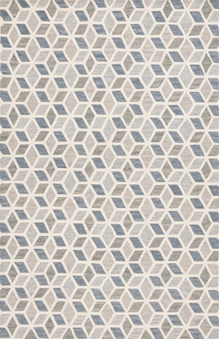 Safavieh Ebony EBN656F Ivory / Grey Area Rug Main