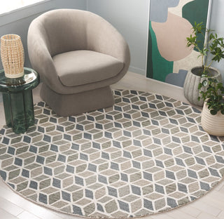 Safavieh Ebony EBN656F Ivory / Grey Area Rug Room Scene Feature