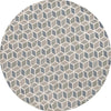 Safavieh Ebony EBN656F Ivory / Grey Area Rug Round