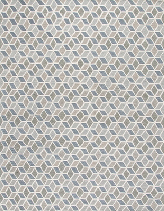 Safavieh Ebony EBN656F Ivory / Grey Area Rug main image