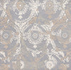 Safavieh Ebony EBN657F Grey / Ivory Area Rug Square