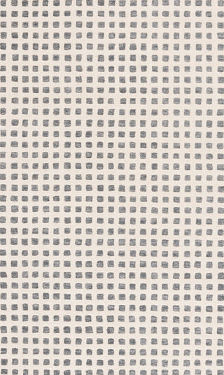 Safavieh Ebony EBN705A Ivory / Black Area Rug main image