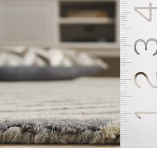 Safavieh Ebony EBN707F Grey / Ivory Area Rug Detail