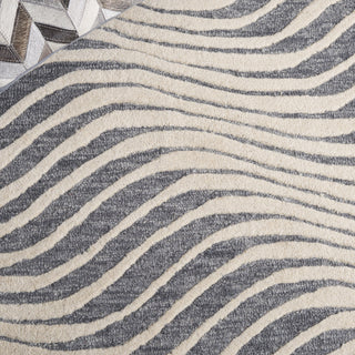 Safavieh Ebony EBN707F Grey / Ivory Area Rug Detail
