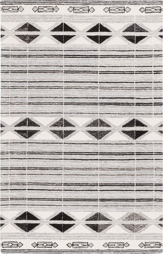 Safavieh Ebony EBN803 Ivory / Grey Area Rug