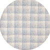 Safavieh Ebony EBN806M Ivory / Blue Area Rug Round