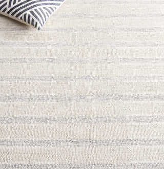 Safavieh Ebony EBN808B Beige / Grey Area Rug Detail