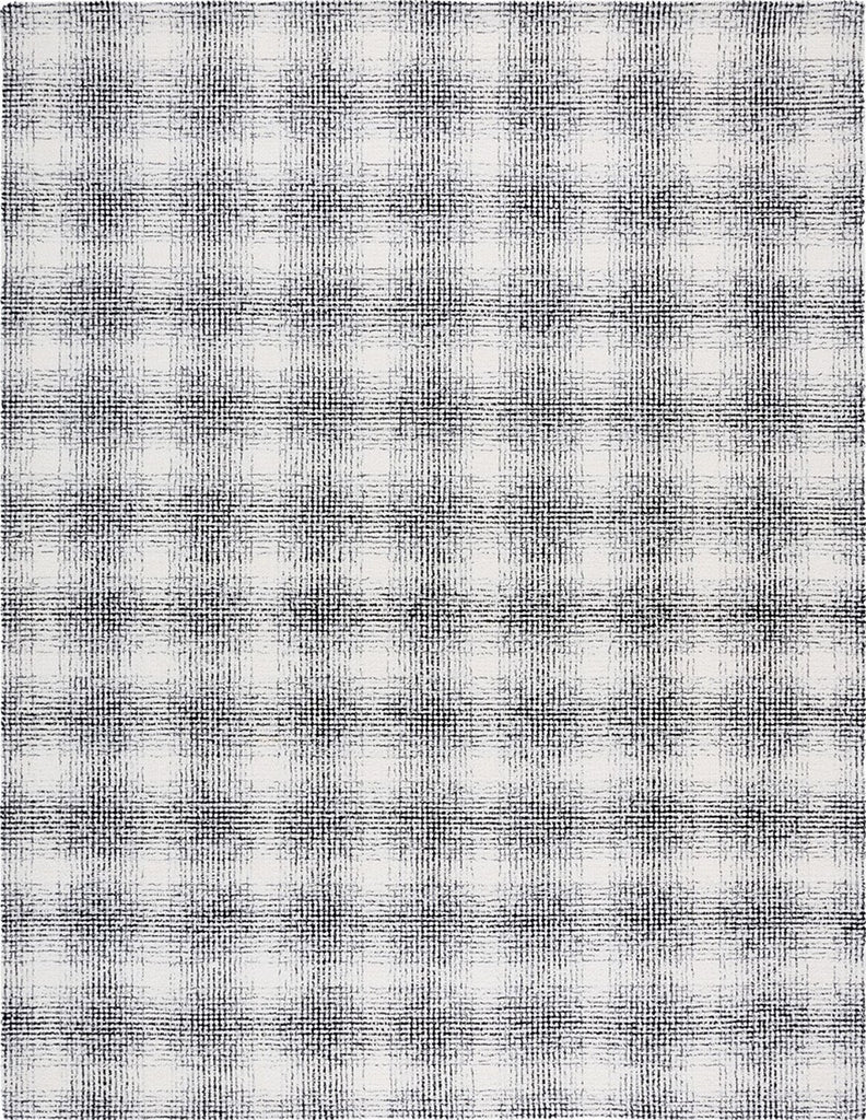 Safavieh Ebony EBN809Z Ivory / Black Area Rug main image