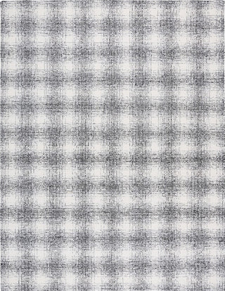 Safavieh Ebony EBN809Z Ivory / Black Area Rug main image