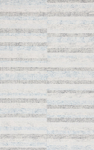 Safavieh Ebony EBN810M Ivory / Blue Area Rug Main