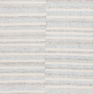 Safavieh Ebony EBN810M Ivory / Blue Area Rug Square