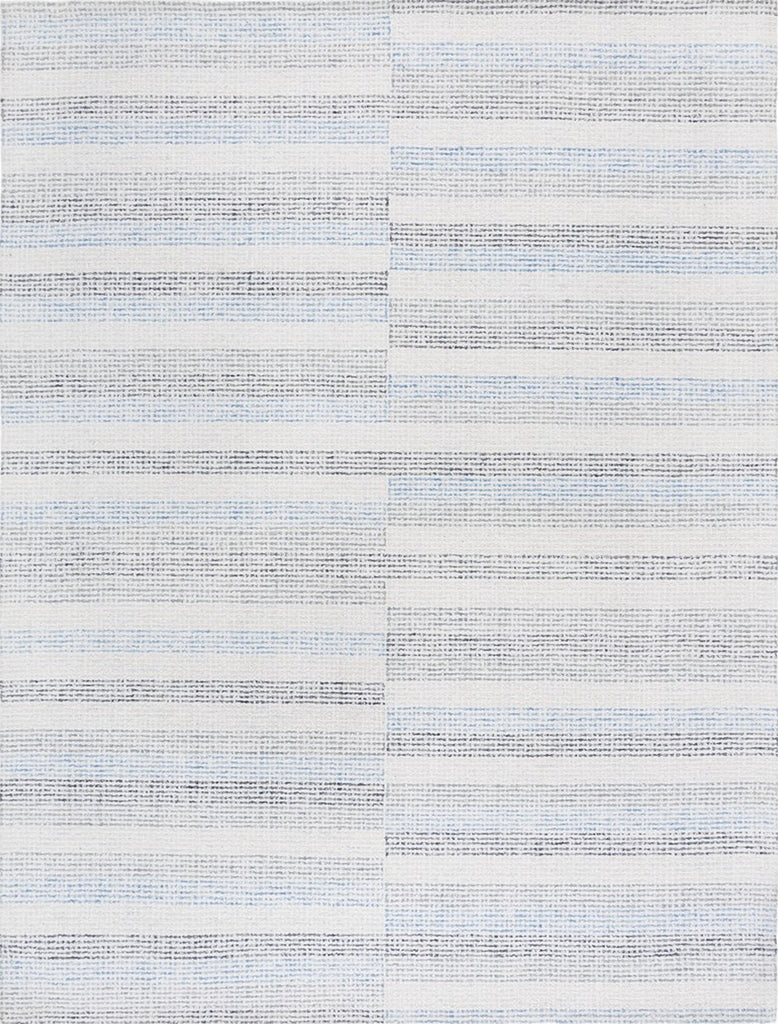 Safavieh Ebony EBN810M Ivory / Blue Area Rug main image