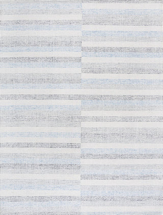 Safavieh Ebony EBN810M Ivory / Blue Area Rug main image