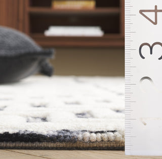 Safavieh Ebony EBN813Z Ivory / Black Area Rug Detail