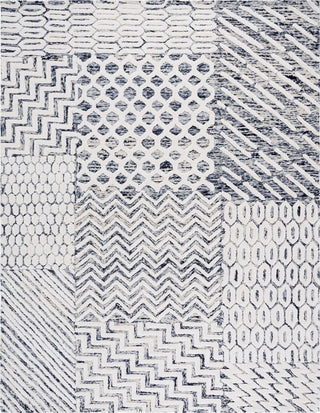 Safavieh Ebony EBN813Z Ivory / Black Area Rug main image