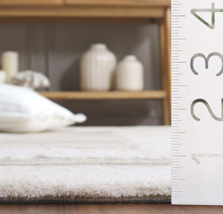 Safavieh Ebony EBN814T Ivory / Brown Area Rug Detail