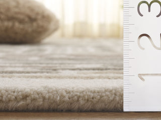 Safavieh Ebony EBN850B Beige / Ivory Area Rug Detail
