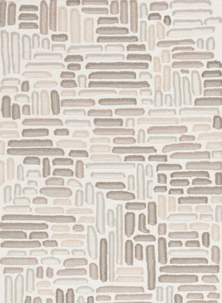 Safavieh Ebony EBN850B Beige / Ivory Area Rug main image