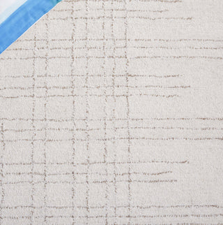 Safavieh Ebony EBN851A Ivory / Grey Area Rug Detail