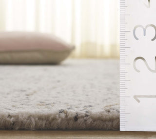 Safavieh Ebony EBN901N Navy / Ivory Area Rug Detail