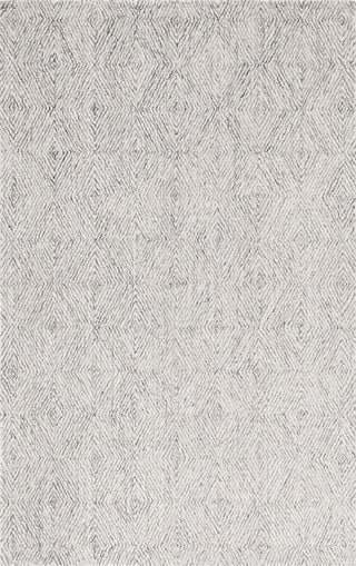Safavieh Ebony EBN901N Navy / Ivory Area Rug main image