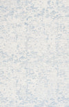 Safavieh Ebony EBN904A Ivory / Blue Area Rug main image