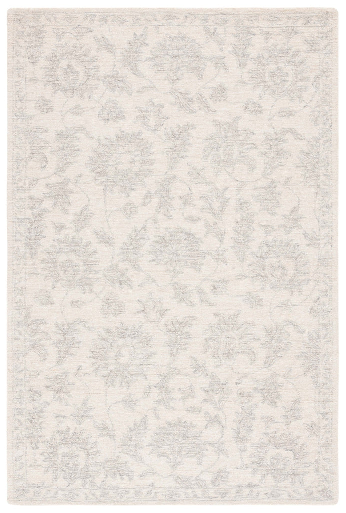 Safavieh Ebony EBN905A Ivory / Grey Area Rug main image