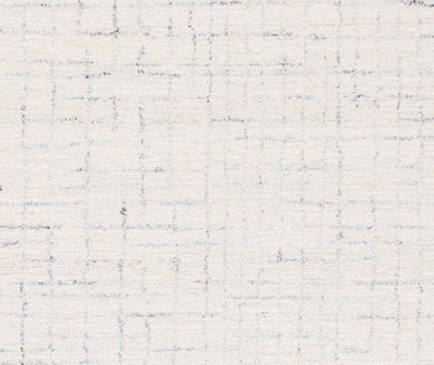 Safavieh Ebony EBN906A Ivory / Navy Area Rug main image