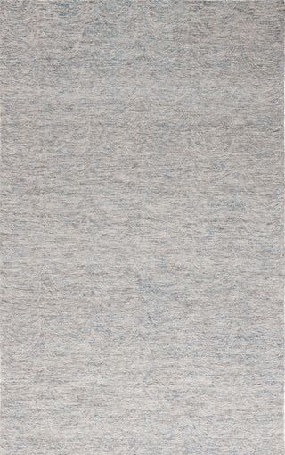 Safavieh Ebony EBN911F Grey / Beige Area Rug main image