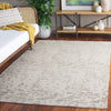 Safavieh Ebony EBN912F Ivory / Grey Area Rug Room Scene
