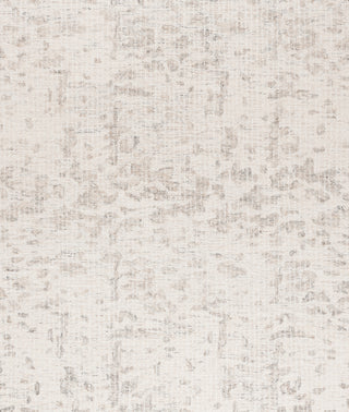 Safavieh Ebony EBN912F Ivory / Grey Area Rug Main