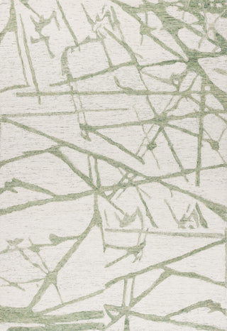 Safavieh Ebony EBN913Y Ivory / Light Green Area Rug main image