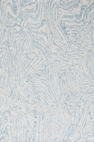 Safavieh Ebony EBN917L Ivory / Light Blue Area Rug Main