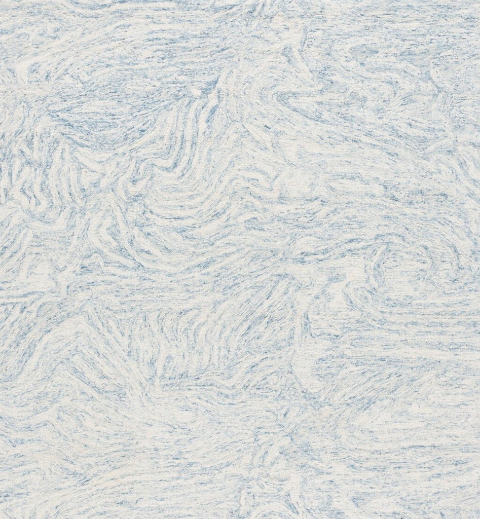 Safavieh Ebony EBN917L Ivory / Light Blue Area Rug main image