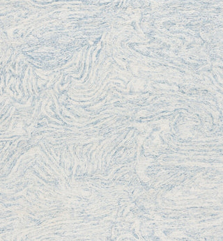 Safavieh Ebony EBN917L Ivory / Light Blue Area Rug main image