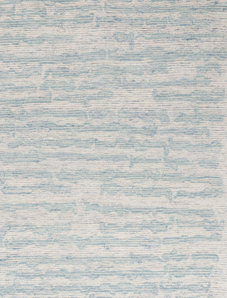 Safavieh Ebony EBN919L Ivory / Light Blue Area Rug Main