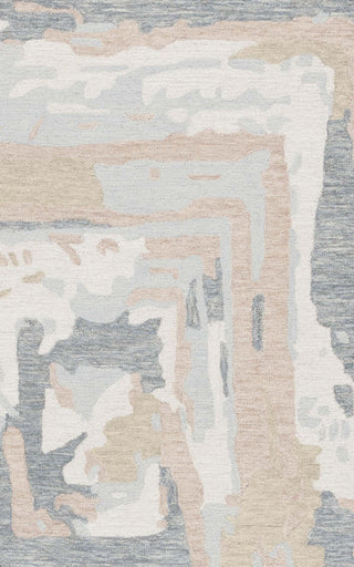 Safavieh Ebony EBN924F Grey / Ivory Area Rug main image