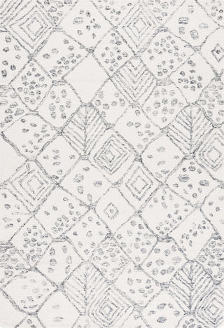 Safavieh Ebony EBN929A Ivory / Grey Area Rug main image