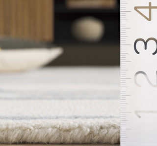 Safavieh Ebony EBN951M Ivory / Blue Area Rug Detail