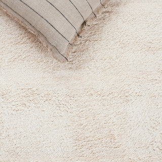 Safavieh Easy Care ECR217A Ivory Machine Washable Area Rug Detail