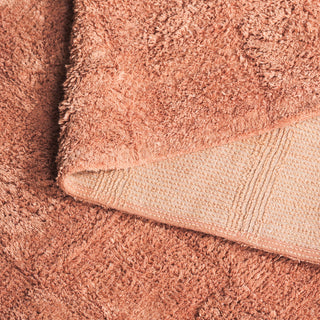 Safavieh Easy Care ECR222P Rust Area Rug Fold