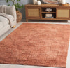 Safavieh Easy Care ECR222P Rust Area Rug Room Scene Feature