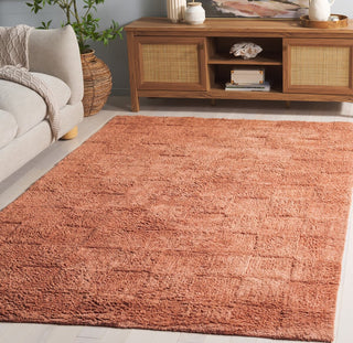 Safavieh Easy Care ECR222P Rust Area Rug Room Scene Feature