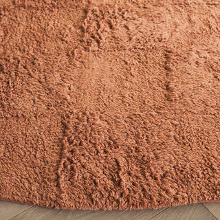 Safavieh Easy Care ECR222P Rust Area Rug Detail