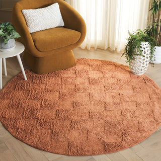 Safavieh Easy Care ECR222P Rust Area Rug Room Scene Feature