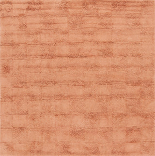 Safavieh Easy Care ECR222P Rust Area Rug Square