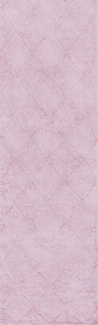 Safavieh Easy Care ECR226U Rose Machine Washable Area Rug Runner