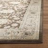 Safavieh Florenteen FLR125 Brown / Ivory Area Rug